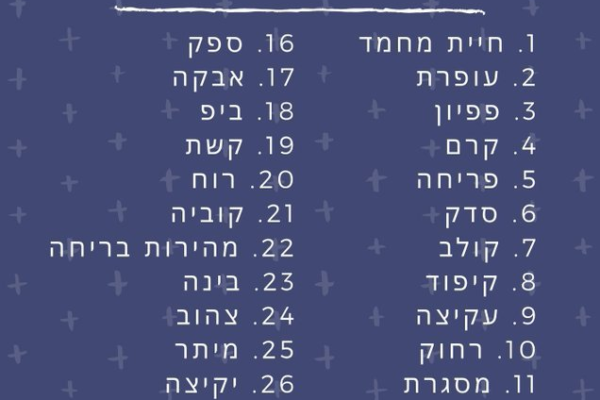 סיפורונובמבר